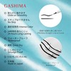 Gashima Liquid Eyeliner, Made in Japan, 0.1mm Brush Tip, Ultra