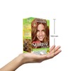 Garnier Nutrisse Cream, Permanent Hair Colour, 63 Light Golden Brown,