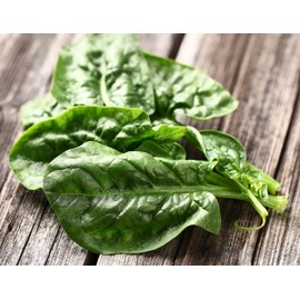 Earthcare Seeds Spinach Bloomsdale 500 Seeds (Spinacea oleracea) Heirloom - Non GMO - Untreated Seed