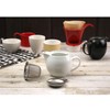 ZERO JAPAN BBN-02 KW Hot beverage Pot for 3 People,