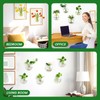 DomeStar 4PCS Wall Vases, Wall Mounted Hanging Glass Vases Clear