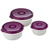 Emsa Micro Family 508455 Food Container Set 0.5 / 1.0