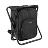 Picnic Cooler Basket Bagpack Chair with Dinnerware for 4 –