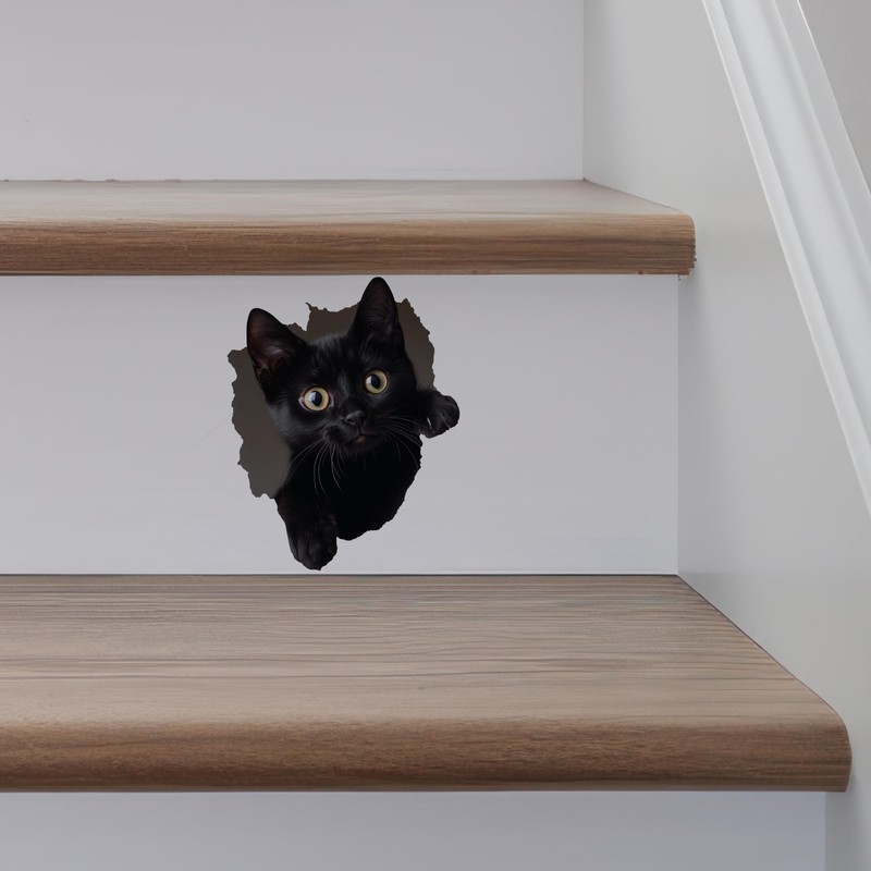 Black Cat Decal - Wall Hole Sticker with 3D Effect