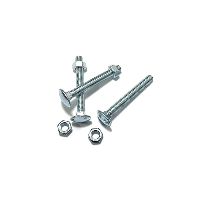 M8 (8mm x 100mm) Cup Square Carriage Bolt and Nut