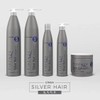 Firenze Professional Shampoo Silver Hair Firenze 10.1oz, 1 item