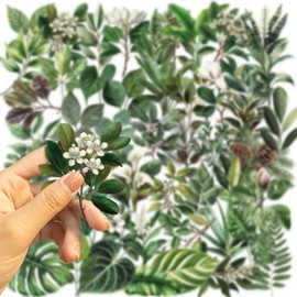 Green Leaf Plants Aesthetic Stickers, 50PCS Nature Flowers Transparent Waterproof Stickers for Water Bottle,Laptop,Scrapbook,Journal,Vases Decorative, Floral Leaf Decals for Kids Teens Adults (Green)