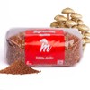 Mycelium 5 lb Milo Grain Spawn for Mushroom Cultivation |
