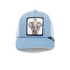 Goorin Bros. The Farm Unisex Kids Trucker Hat, Light Blue