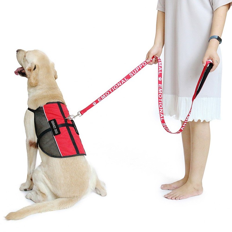 PLUTUS PET Service Dog Vest with 2 Removable Patches, Light