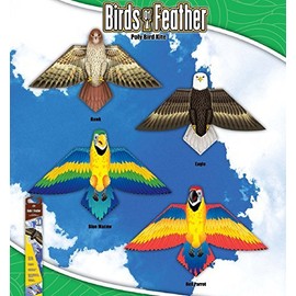 Birds of Feather Poly Kites - Case of 12 Assortment