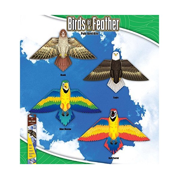 Birds of Feather Poly Kites - Case of 12 Assortment