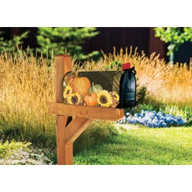 MailWraps Studio M Abundant Autumn Decorative, The Original Magnetic Mailbox Cover, Made in USA, Superior Weather Durability, Standard Size fits 6.5W x 19L Inch Mailbox