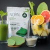 Nopal Deshidratado en Polvo Orgánico 454 gr. (1 Lb)