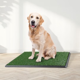 Artificial Grass Puppy Pee Pad for Dogs and Small Pets - 20x30 Inch, Reusable 4-Layer Turf Pads for Dogs with Tray - Indoor and Outdoor Fake Grass Potty Pet Supplies by PETMAKER