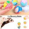 Fejapa 11 pcs Ferret Squeaky Toys Balls Squeaker Toys Teething