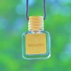 CANVAS Beauty Car Diffuser (Pick Your Scent):_Cotton Candy