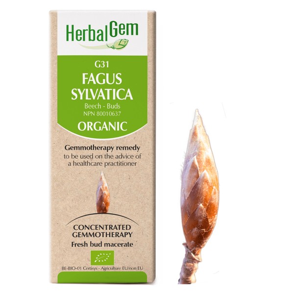 HerbalGem Gemmotherapy G31 Fagus sylvatica 50 ml