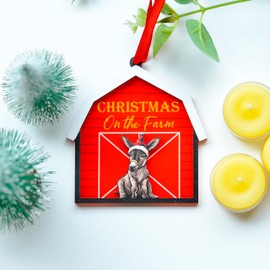 BlinkWishes Donkey Christmas Ornament, for Donkey Lovers, Daughter, Son, Kids, Donkey Ornament for Christmas Tree Hanging Decor, Donkey Holiday