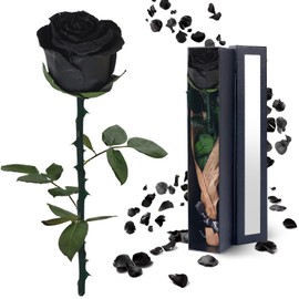 YAMPP Black Preserved Flowers Gifts for Women: Roses for Birthday Wedding Gift for Girlfriend Wife Grandma Mom