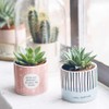 Grafik-Werkstatt Small Flower Pot, Decorative Pot, White, Ceramic, Schön, dass