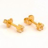 Studex Gold Ear Studs Mini Birthstar In 5 Point Setting