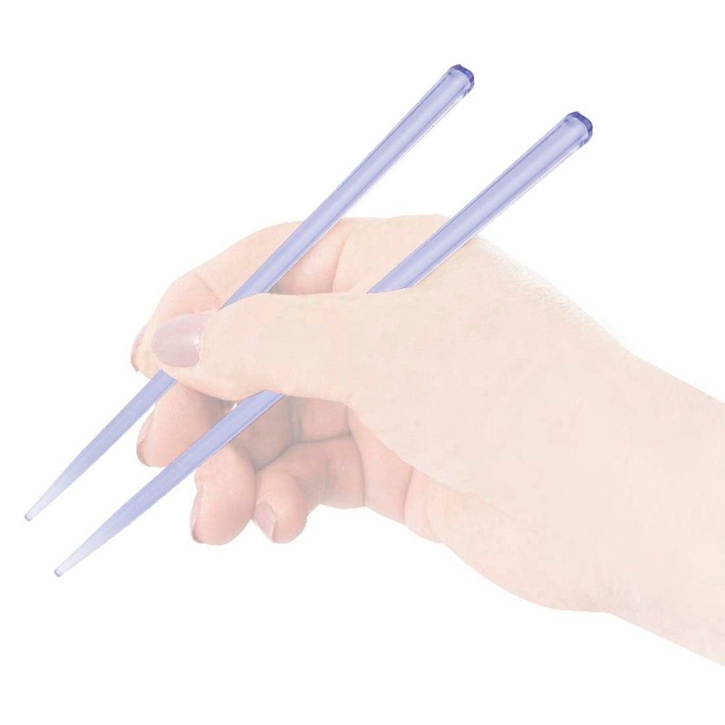 Skater Chopsticks and Case Set for Adults, Antibacterial, 7.1 in