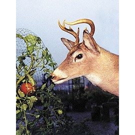 Deer Fence, 7 ft. H, 350 ft. L, Black