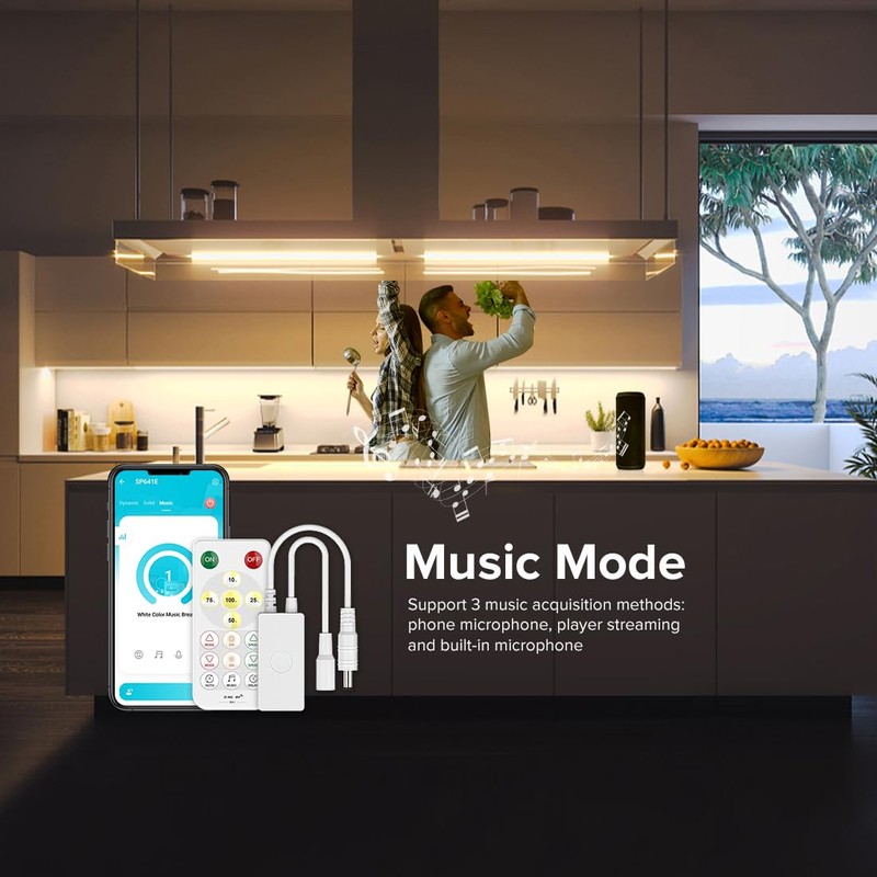 SEZO SP641E Monochrome Music Bluetooth PWM LED Controller Dynamic Effects