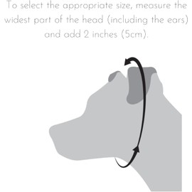 Dog Chain Collar (MADE in USA) 304 Stainless Steel Metal Chew Proof Dog Necklace Anti Winding Dog Leash Extension Lead for Small Medium Large and Extra Large Dogs Training Walking (Extra Large)