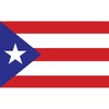 Skip's Garage Puerto Rico Flag Poolmat 59" by 36" -