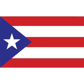 Skip's Garage Puerto Rico Flag Poolmat 59" by 36" - Vinyl - Works in Most Pools - Easy to Install and Remove - No Adhesives
