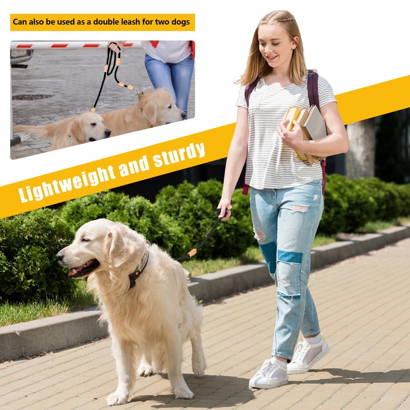 Rierousy 2.1m Hundeleine Verstellbar, Nylon Leine Hund mit 2 Karabiner,