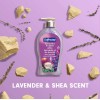 Softsoap Lavender Shea Liquid Hand Soap 11.25 Oz Pack of