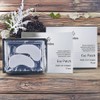 Dessembres eye area care eye patch use, 2 hydrogel collagen eye patches, 5ml, 10 packs / 데쌍브르 눈가 관리 아이 패치 사용 하이드로 겔 콜라겐 아이패치 2개 5ml 10개입
