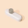 Relight Moment Trailing Edge Dimmer (LED 3-80 W, AGL &