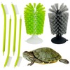 PINVNBY 6 Pack Turtle Brush Turtle Scratches Back Brush with