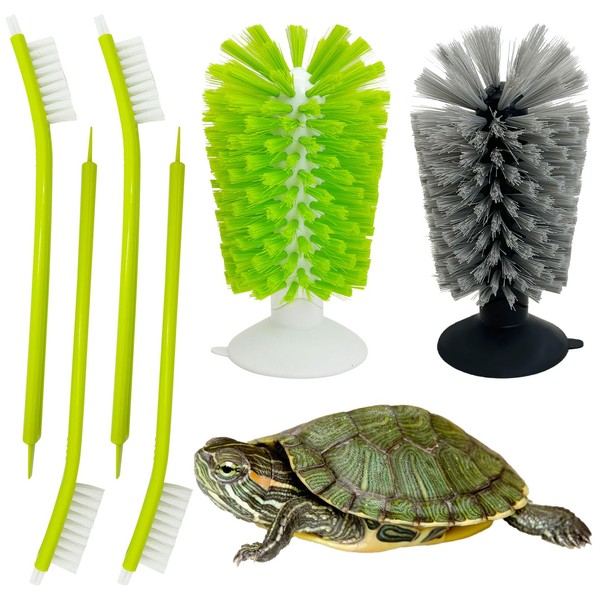 PINVNBY 6 Pack Turtle Brush Turtle Scratches Back Brush with