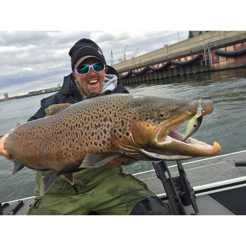 Bad Shad Sexier Shad 5 (1/4 oz)