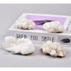 VIZYTOU Natural White Cluster Rock Specimens Healing Crystal Quartz Stone