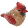 Cardinal Male and Female Salt and Pepper Shaker Set
