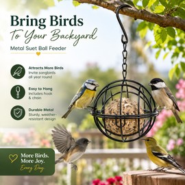 Metal Suet Ball Bird Feeder Outdoor Hanging Squirrel-Proof Bird Feeder for Garden Balcony – Durable Rust-Resistant Hanging Food Holder for Wild Birds Feeding