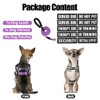 Service Dog Vest Harness and Leash Set, Animire in Training