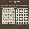 spansee 2 PCS Small Quail/Bird Egg Trays, Quail Egg Container,