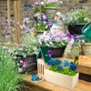 Picowe Butterfly House Wooden Butterfly Habitat Natural Butterfly Nesting Box