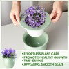 Suclain 2 Pack Ceramic African Violet Pots Self Watering Plant