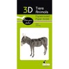 Fridolin 3D Paper Model Donkey