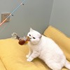 AGGER Cat Casting Fishing Pole Toy, Cat Casting Toy Set,