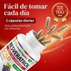 Resveratrol Gold 200 Cápsulas Suplemento Antioxidante Transresveratrol Complejo Antioxidantes Polifenoles