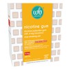 Wellness Basics - 4mg Nicotine Gum (Fruit Flavor - 160